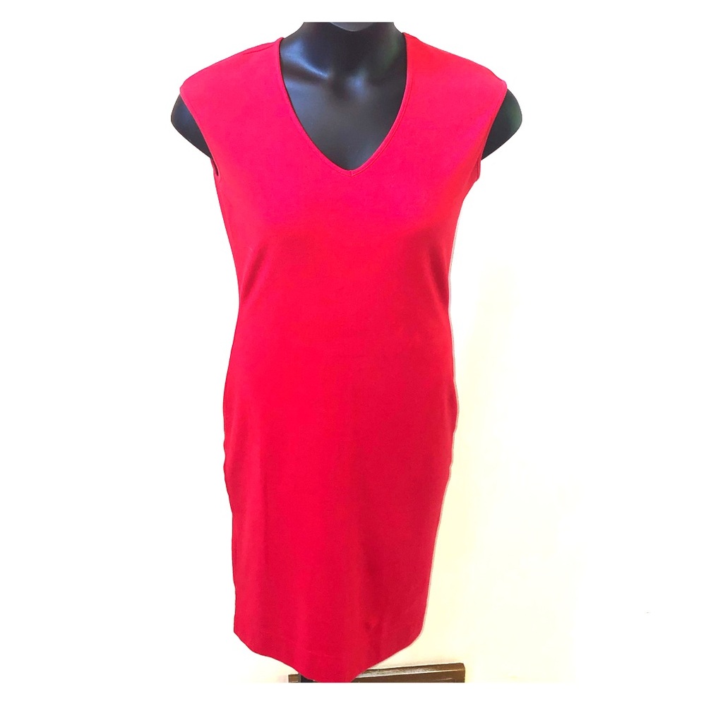 Express knit dress.
